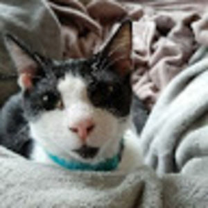 Meet your Posher, Chris